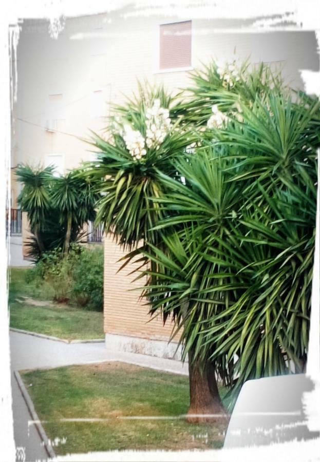 Appartement Corazon De Andalucia à Antequera Extérieur photo